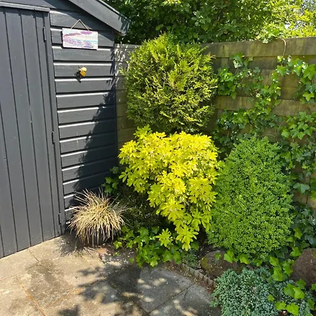 Bij De Zee 4 Personen Campingplads Callantsoog