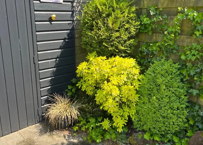 Bij De Zee 4 Personen Camping Callantsoog